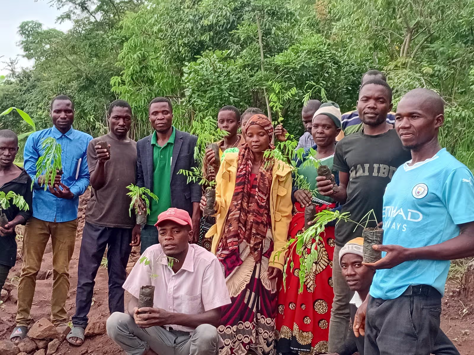 Reforestation & Afforestation